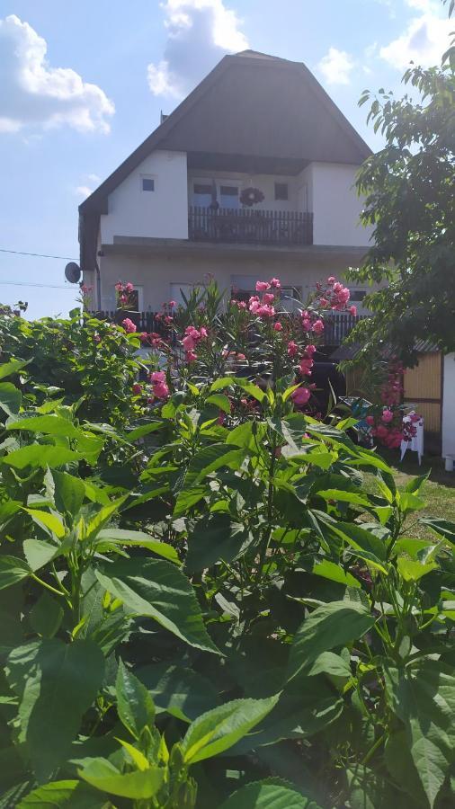 Leander Apartman Balatonlelle Zewnętrze zdjęcie