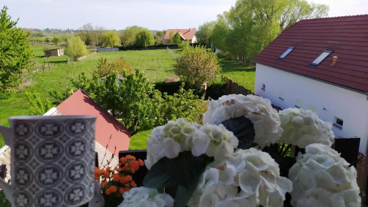 Leander Apartman Balatonlelle Zewnętrze zdjęcie